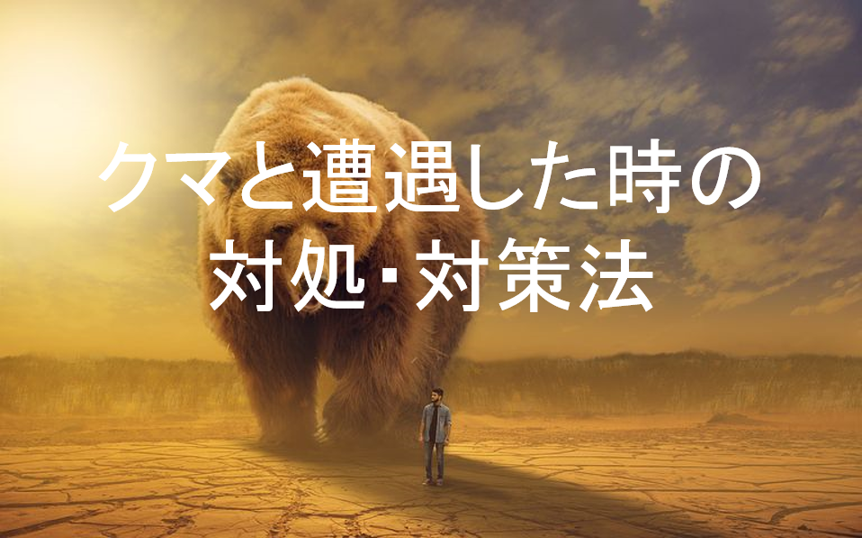 クマ遭遇対策 日本で登山中に遭遇するクマは2種類 それぞれの特徴や行動形態を知ろう Actibase クマ遭遇対策 日本で登山中に遭遇するクマは2種類 それぞれの特徴や行動形態を知ろう Actibase